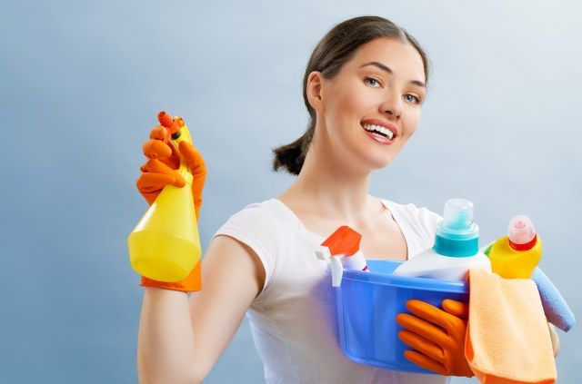 professional domestic cleaners