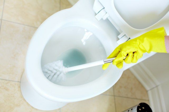 toilet cleaning